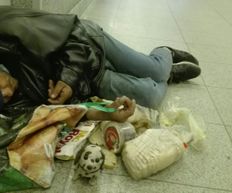 #SayNoToRacism©  #Homeless©  #EnglishBulldog #Sunny❤️ + #Chihuahua #La